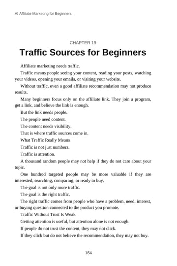 Chapter 19 · Traffic Sources for Beginners · p. 164